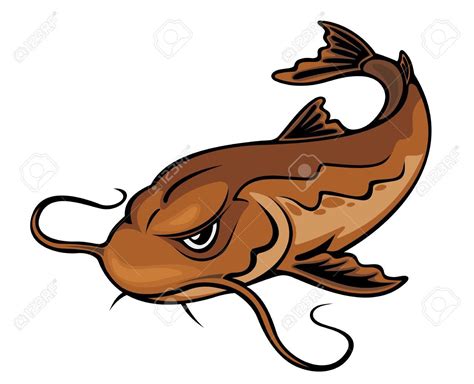 Catfish Drawing Free Download On Clipartmag