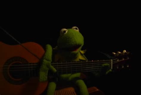 Tons of awesome 1080x1080 wallpapers to download for free. Kermit the Frog memes | Muppet Wiki | Fandom powered by Wikia