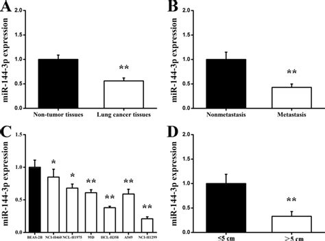 expression levels of mir 144 3p in lung cancer tissues and various lung download scientific