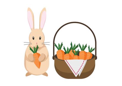 Top Rabbit Eating Carrot Cartoon Clip Art Vector Graphics And Illustrations Istock