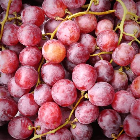 Red Grapes Large Pack 750g · Essington Farm