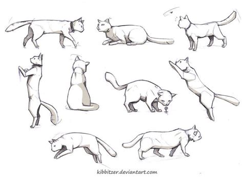 Cat Drawing Poses At Getdrawings Free Download