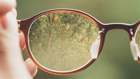 Spectacle Lenses | Blackstone Optometrists