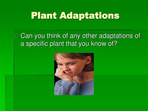 Ppt Plant Adaptations Powerpoint Presentation Free Download Id9685905