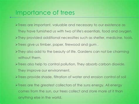 Importance Of Trees