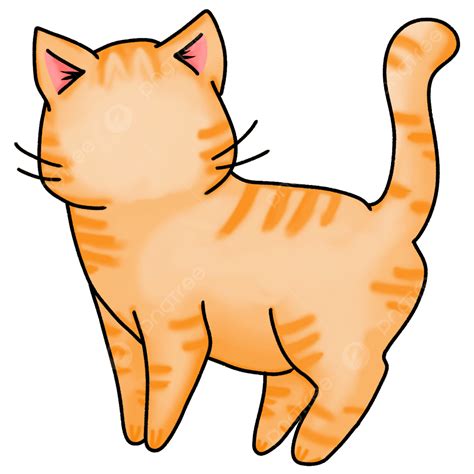 القط البرتقالي لطيف قط قطه صغيرة قطة برتقالية Png وملف Psd للتحميل مجانا