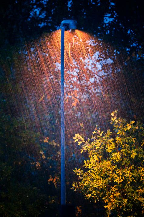 Autumn Rain | eLitere