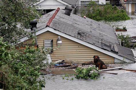 Hurricane Katrina Anniversary 40 Powerful Photos Of New Orleans After The Storm Ibtimes Uk