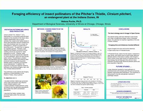 Scientific Poster Template Free Of Poster Presentation Driverlayer