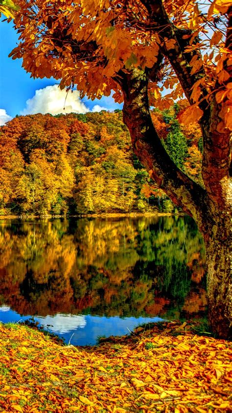 Autumn Themed Wallpapers Kolpaper Awesome Free Hd Wallpapers