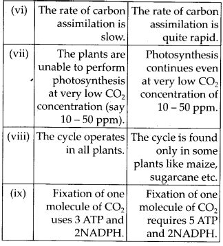 NCERT Solutions For Class 11 Biology Photosynthesis In Higher Plants