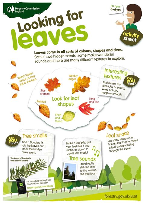 ️autumn Nature Trail Worksheets Free Download