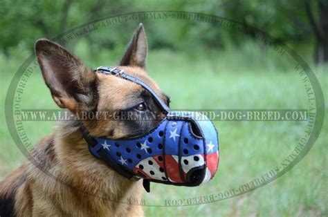 And check out what else is coming to streaming services in july! all-about-german-shepherd-dog-breed.com - M77AP1070 ...