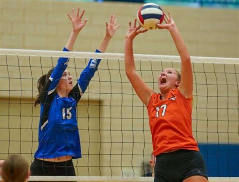 Girls Volleyball Dupage County All Area Team