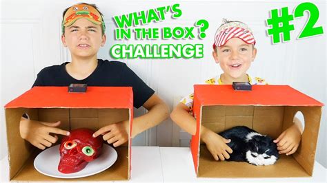 Video De Neo Et Swan Challenge 2019 Halloween - WHAT'S IN THE BOX CHALLENGE #2 ! - C'est quoi dans la boite ? - Néo VS