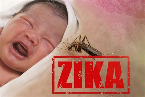 Zika A Real Threat Or Another Hoax To Promote Medical Tyranny