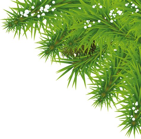 Download Fir Tree Png Image Hq Png Image In Different Resolution