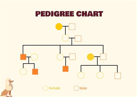 Autosomal Recessive Trait Pedigree Chart Pedigree Chart Template My