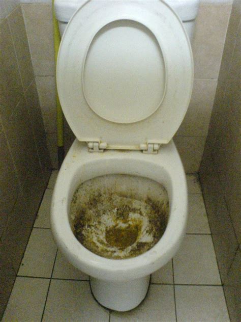 Mr Fcuk Merde Sérieuse Dirty Toilets