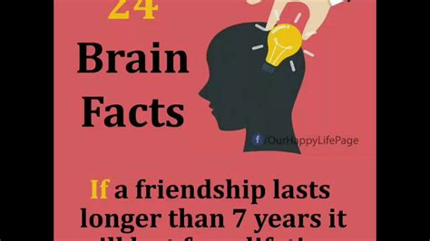 24 Brain Factseveryone Should Know This Youtube
