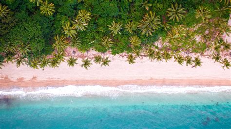 Download 3840x2160 Tropical Island Palm Trees Aerial View Top View