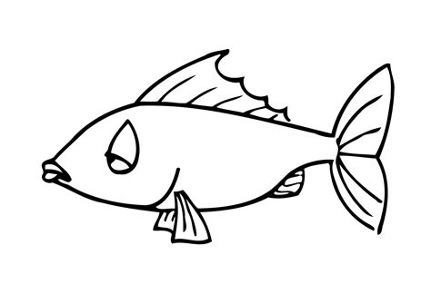 coloring pages fish animal place