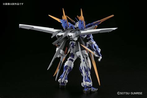Mg Gundam Astray Blue Frame D