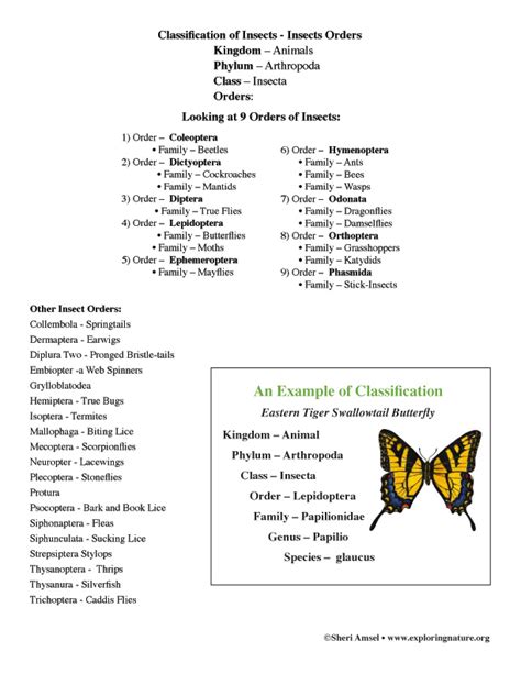 This can be a difficult concept for young students to grasp at first. Insect Orders List Only (Grade 3-6)