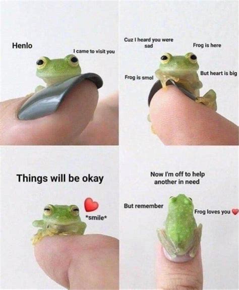 Frog Loves You R Wholesomememes Wholesome Memes Know Your Meme