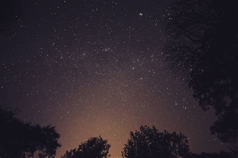 Stars Night Sky Photo From Pikwizard