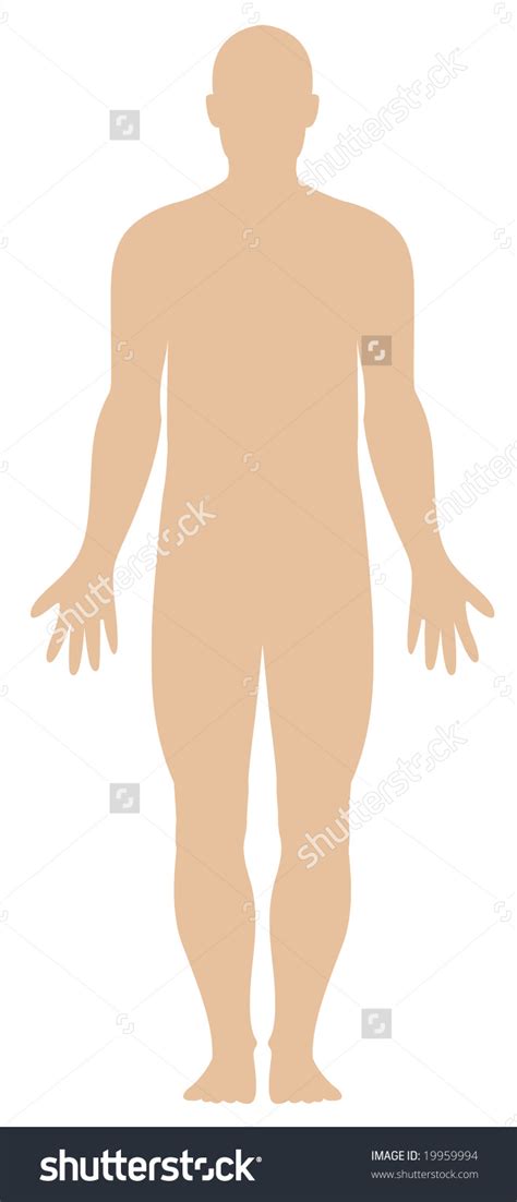 Realistic Human Body Outline