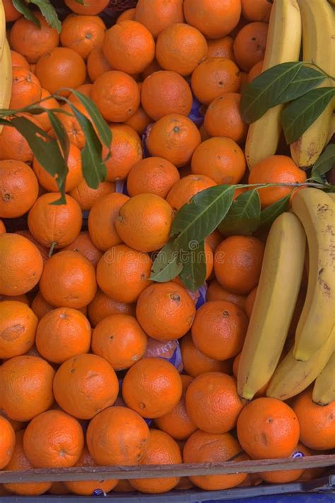 Oranges And Bananas On The Counter Stock Photo Image Of Group