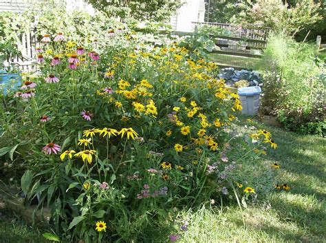 The Rusted Vegetable Garden