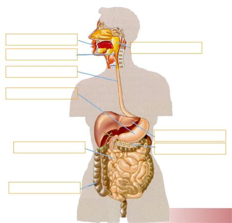 Simple Science: How to Make a Volcano with Kids