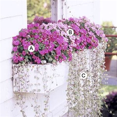Tips And Trick For Best Cascading Planter You Must Learn Window Box