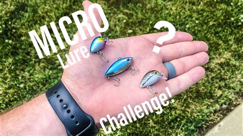 Micro Lure Fishing Challenge Surprising Results Youtube