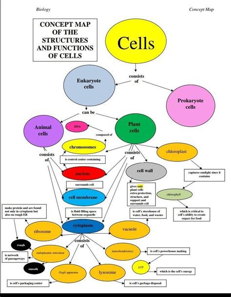 Concept Map Of Cell Structure Science Cell Structure And Functions