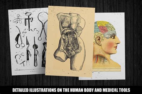 100 Vintage Medical Illustrations By Dene Studios Thehungryjpeg