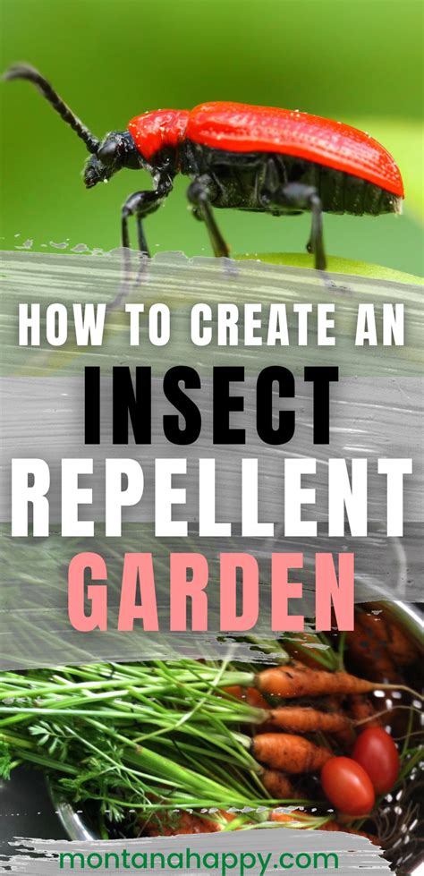 Is a natural insect repellent the right choice for you? How to Create an Insect Repellent Garden - Natural Pest Control in 2020 | Insect repellent ...
