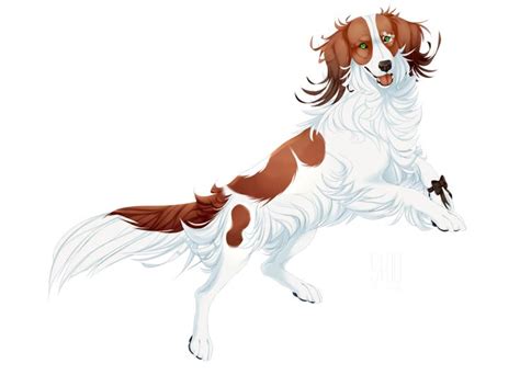 Kooikerhondje By Mr Skid Dog Design Art Canine Art Dog Drawing