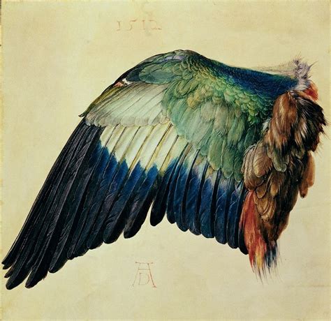 Image Result For Rainbow Crow Albrecht Durer Art Albrecht Dürer