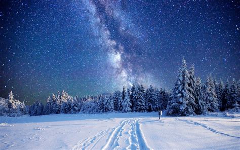 Starry Sky Over Winter Forest Hd Wallpaper Background Image