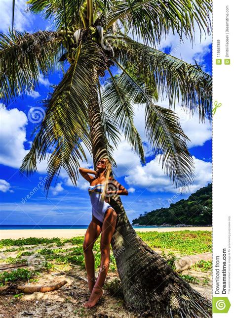 Woman In White Bikini Posing At The Palm Tree Stock Image