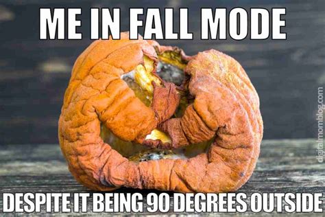 50 Best Fall Memes 2023 To Celebrate The Autumn Season