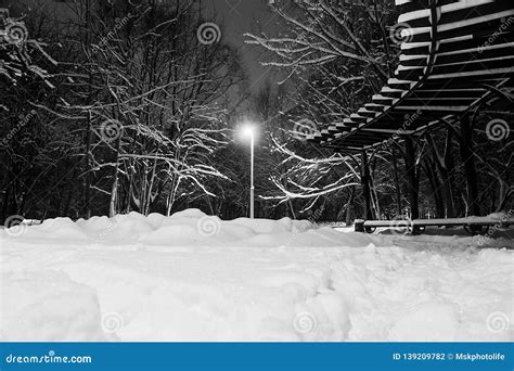 Street Lamp Snowdrifts And Trees Under Snow Black And White Stock