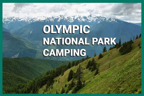 Olympic National Park Camping Everything You Should Know