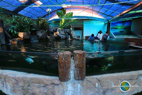 Penang aquarium is one of the tourist attractions in the fishing village of batu maung. Penang Aquarium (Akuarium Tunku Abdul Rahman), Batu Maung