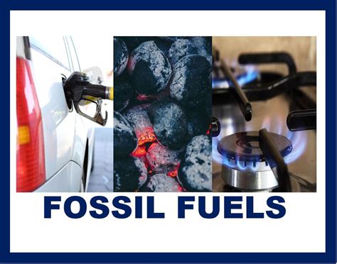 What Are Fossil Fuels Definition And Examples Market Business News