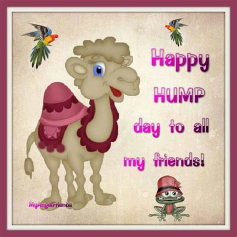 Happy Hump Day To All My Friends Hump Day Images Hump Day Quotes