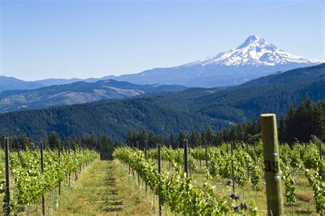Glamping Mixed with Wine in Oregon's Willamette Valley - Glamping.com